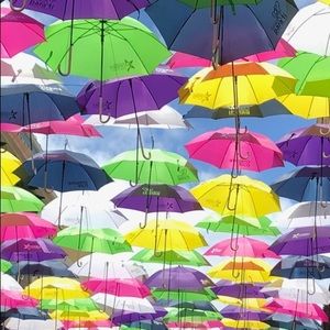 Meet your Posher, Lynette